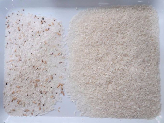 Сортировщица цвета риса CCD, машина цвета сортируя, селектор цвета для зерна, хлопьев, пшеницы, мозоли, арахиса,