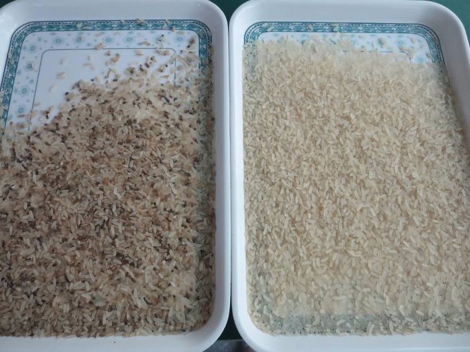 Сортировщица цвета риса ККД, машина цвета сортируя, селектор цвета для зерна, хлопьев, пшеницы, мозоли, арахиса,