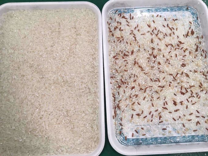 Сортировщица цвета риса ККД, машина цвета сортируя, селектор цвета для зерна, хлопьев, пшеницы, мозоли, арахис,